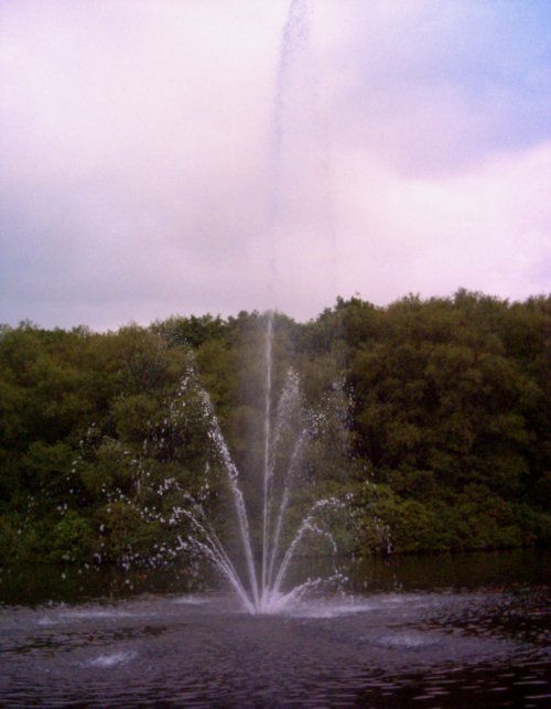 Park Hall Waterfall